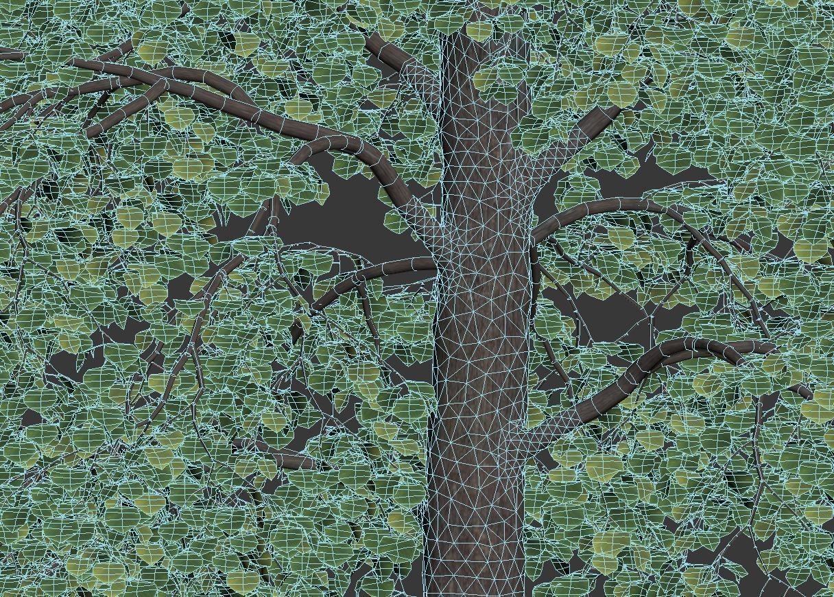 Tilia europaea Nr 3 H9-11m Two tree set 3D model_3