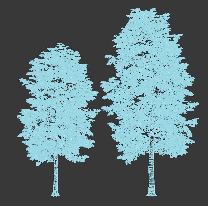 Tilia europaea Nr 3 H9-11m Two tree set 3D model_4