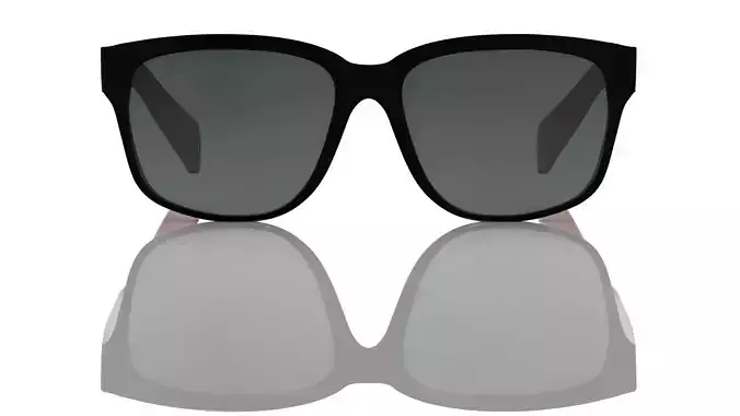 Eyeglasses for Men and Women 3D print model