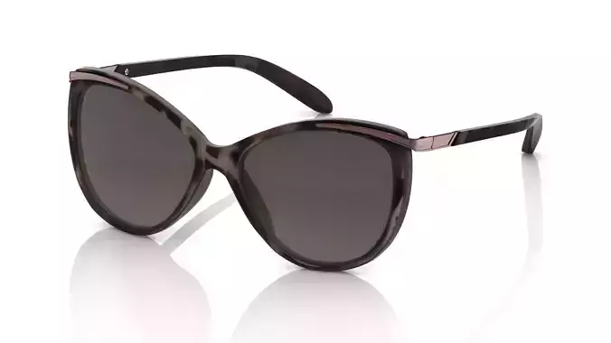 Eyeglasses for Men and Women 3D print model