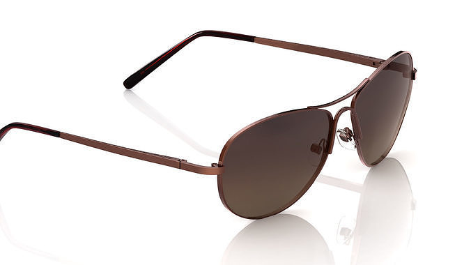 Eyeglasses for Men and Women 3D print model