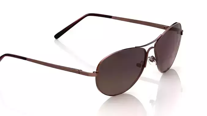 Eyeglasses for Men and Women 3D print model
