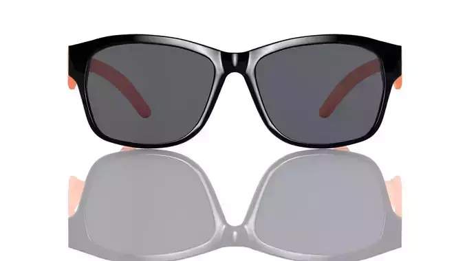 Eyeglasses for Men and Women 3D print model