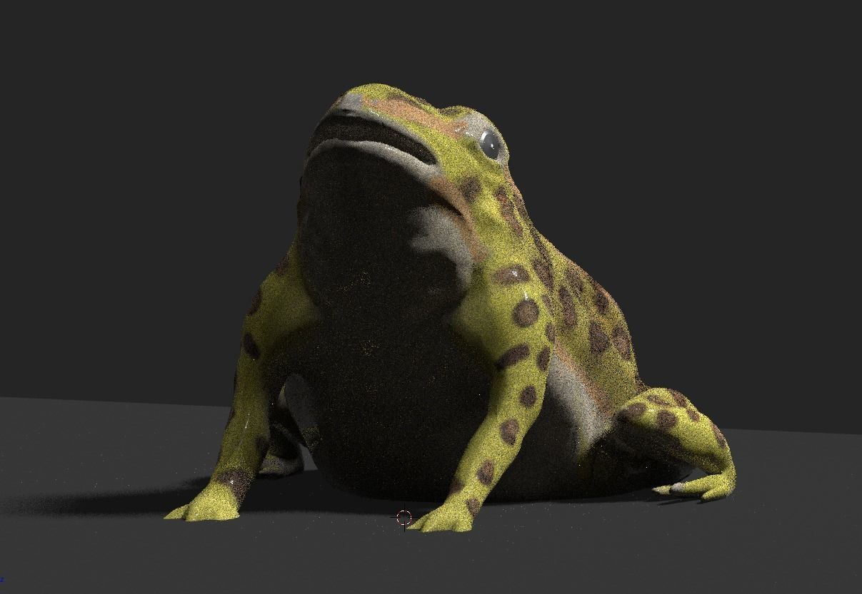 frog 3d model 3D model_4