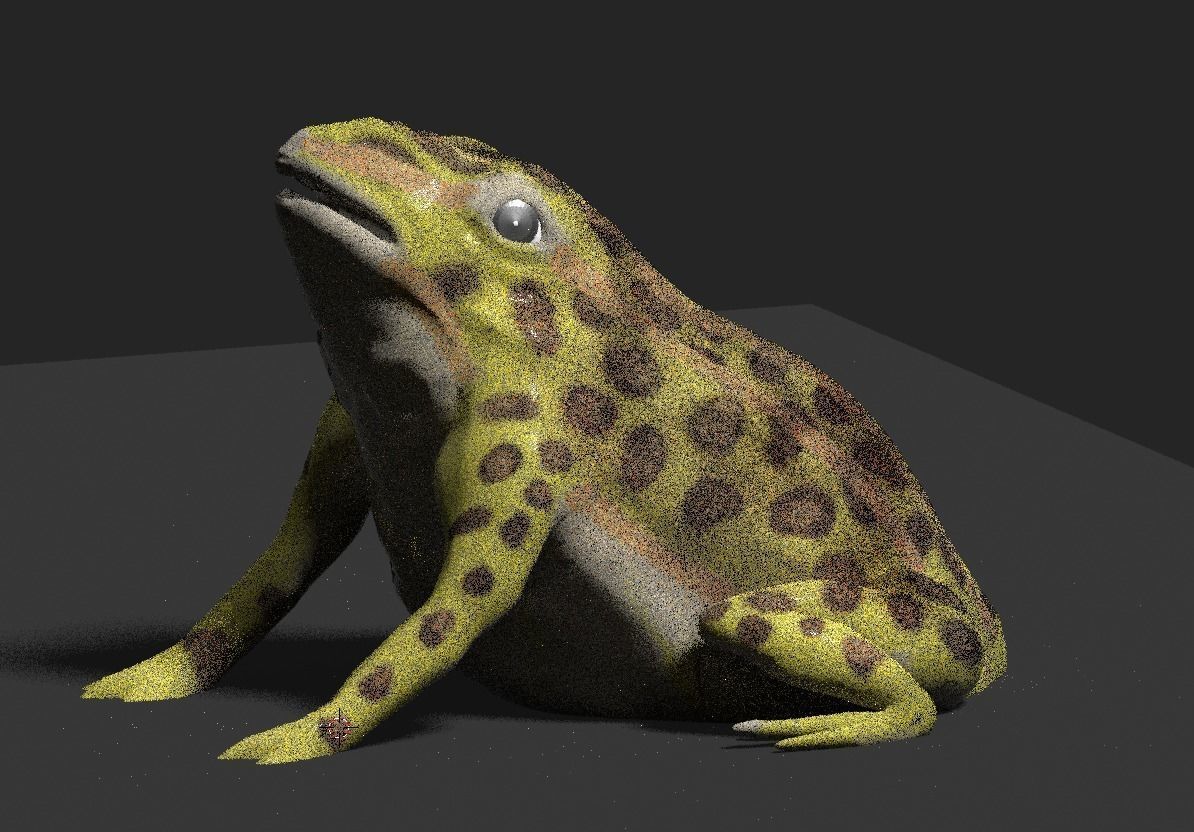 frog 3d model 3D model_2