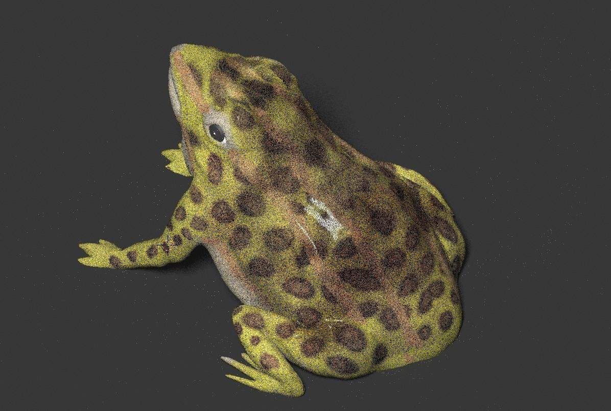 frog 3d model 3D model_6