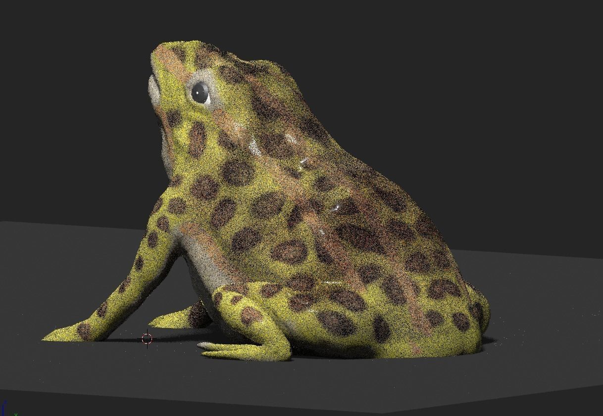 frog 3d model 3D model_3