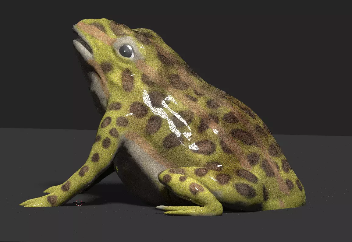 frog 3d model 3D model_0