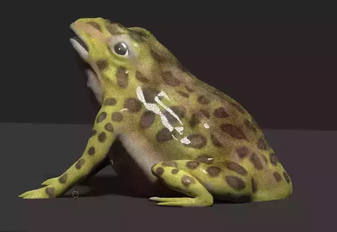 frog 3d model