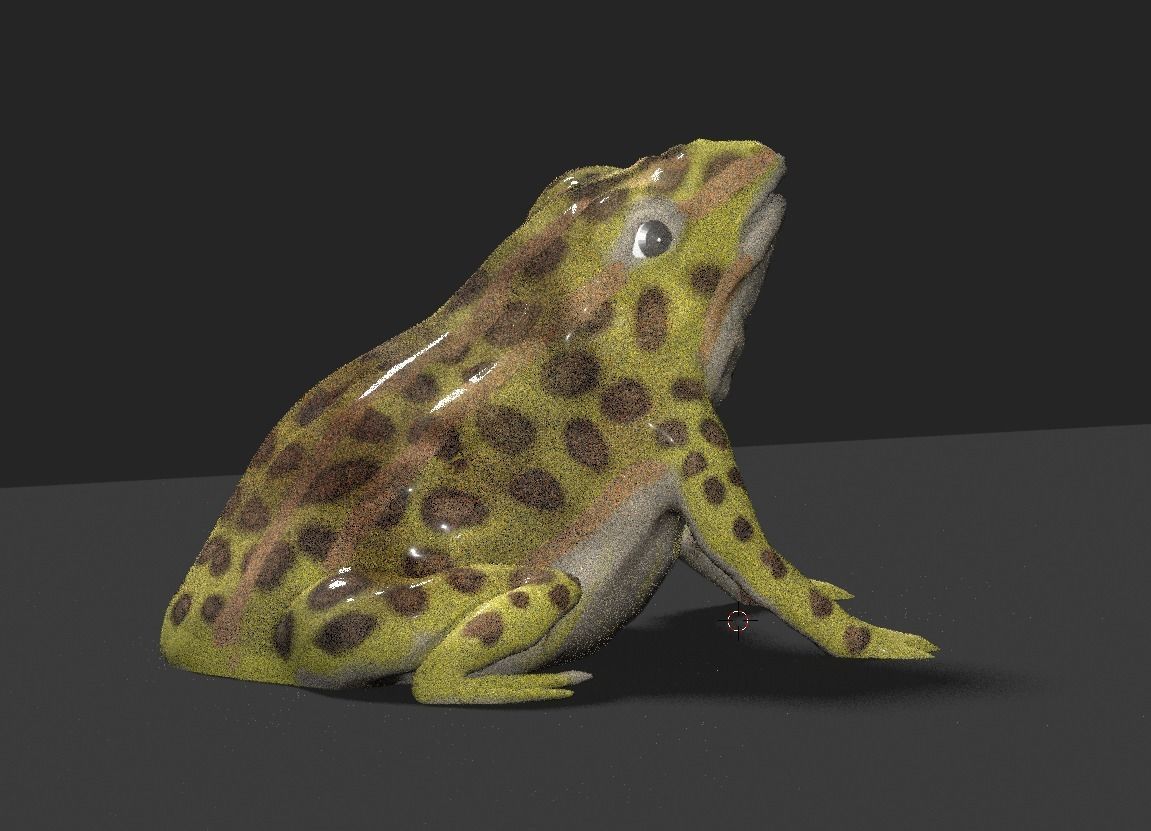 frog 3d model 3D model_1