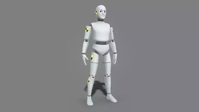 Robot Dummy Character