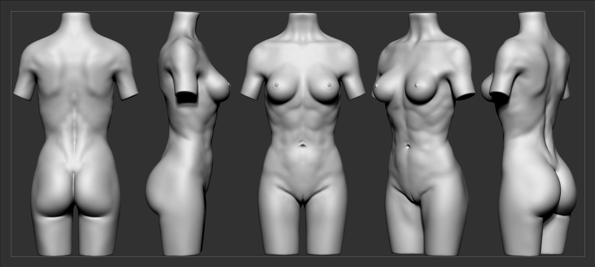 Torso Female  3D model_7