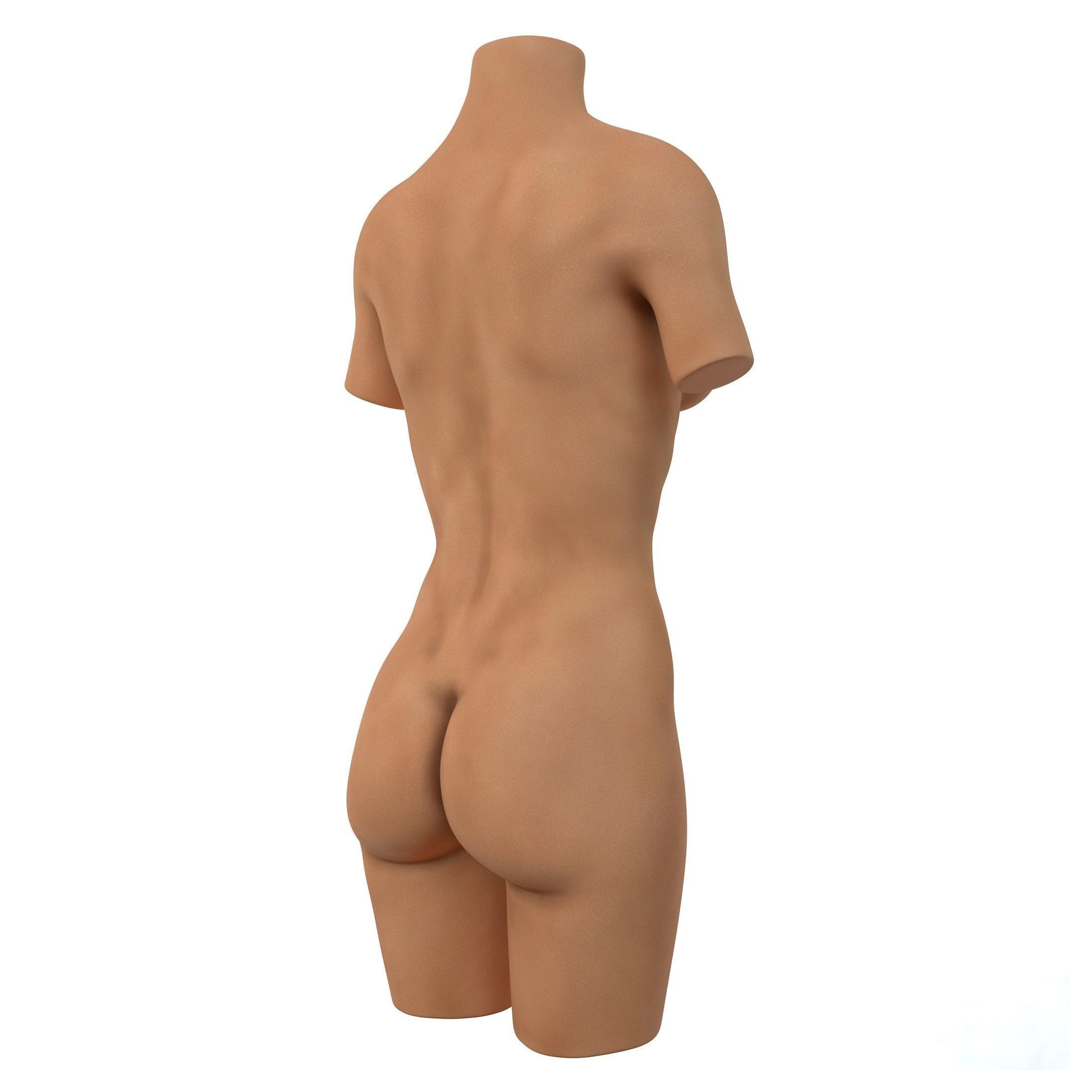 Torso Female  3D model_9