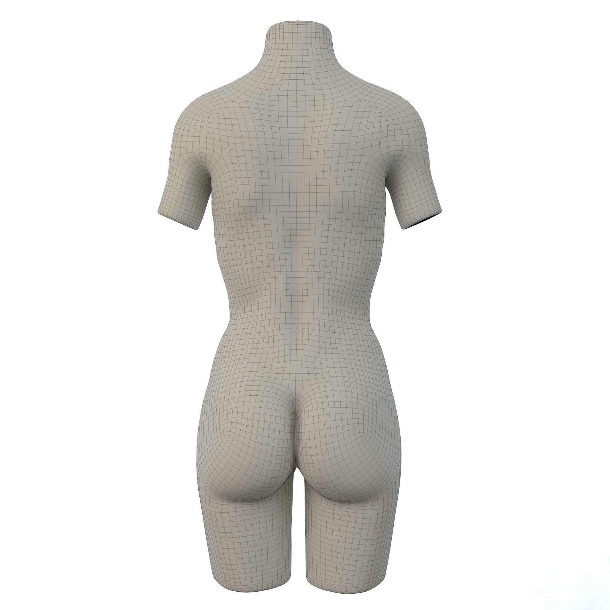 Torso Female  3D model_3