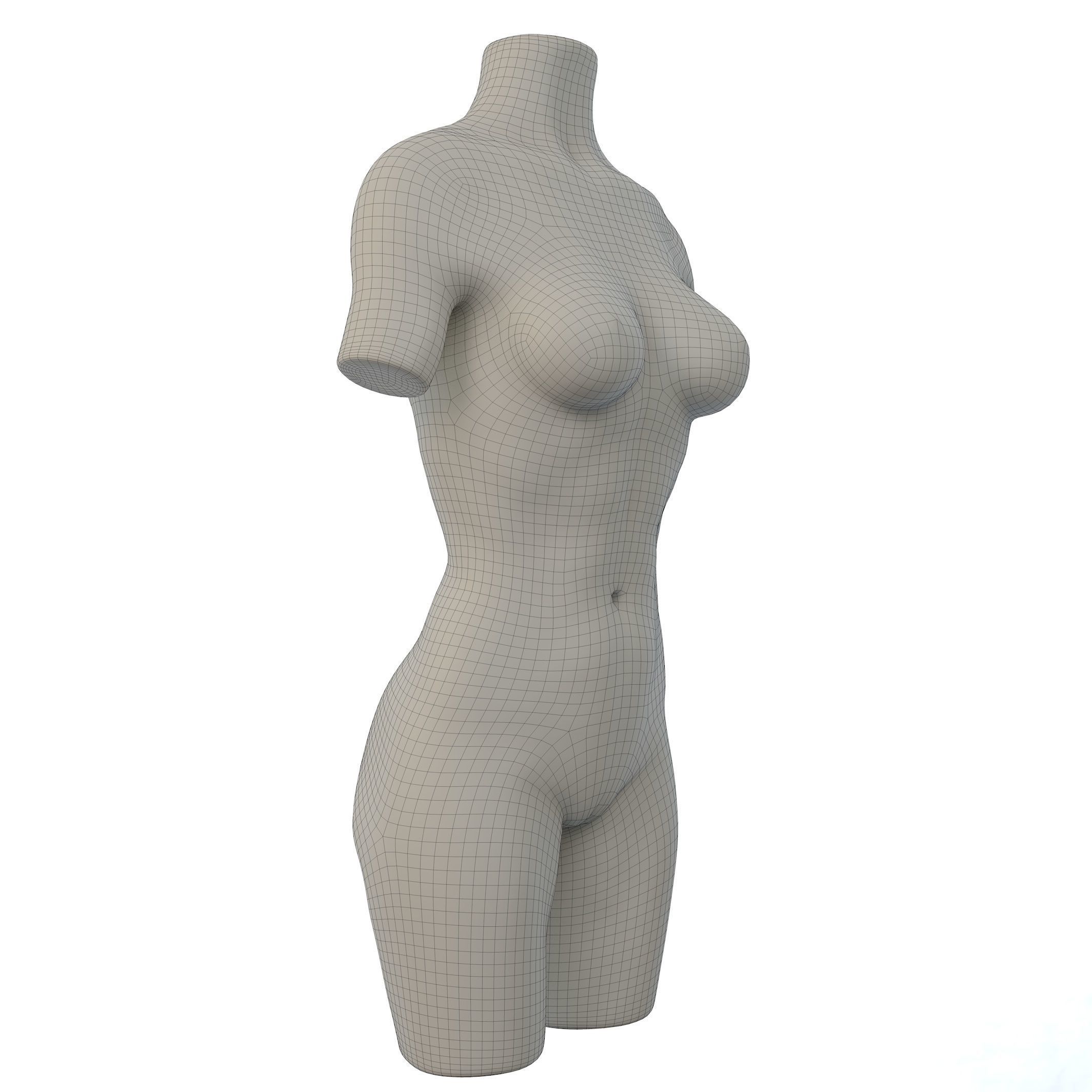 Torso Female  3D model_2