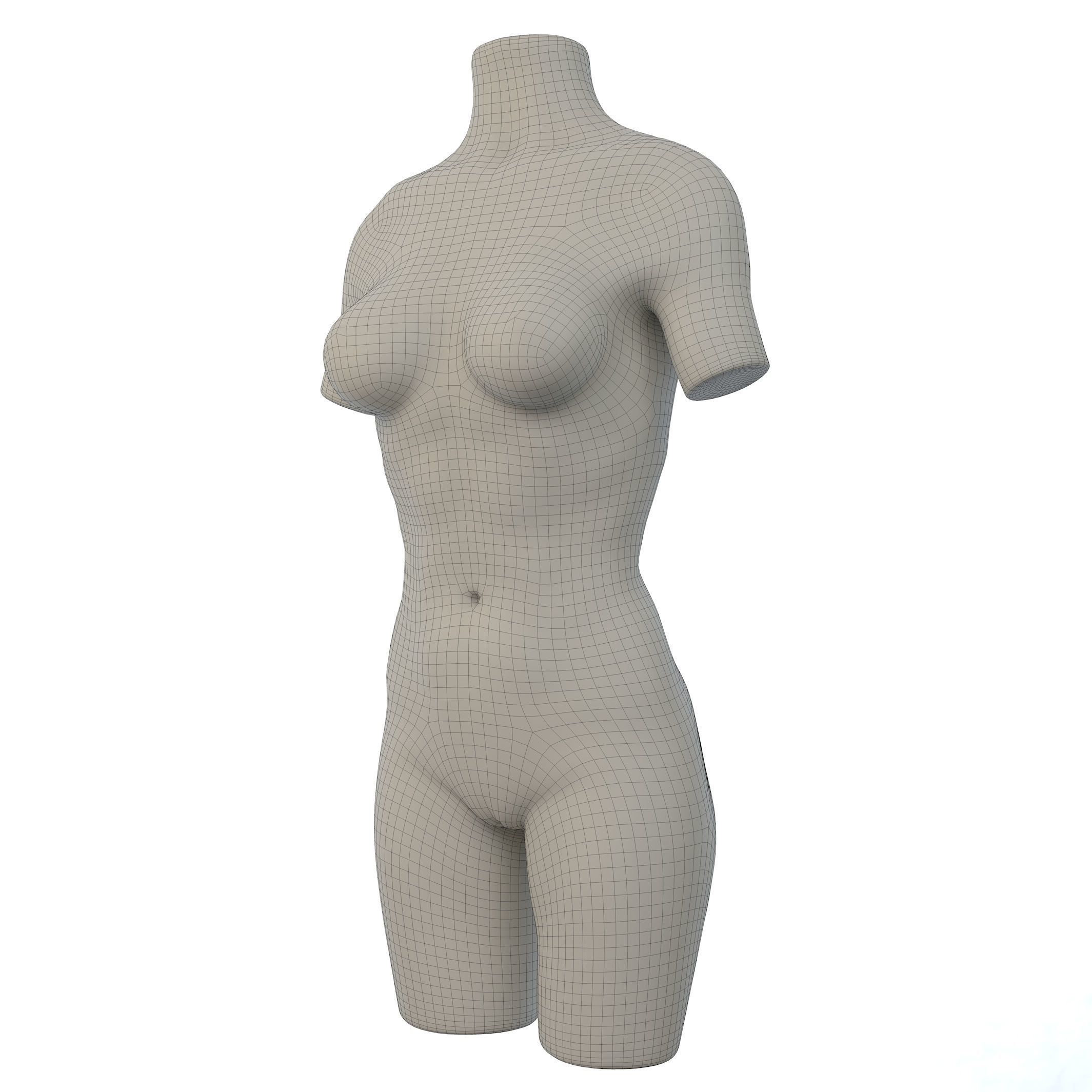 Torso Female  3D model_4