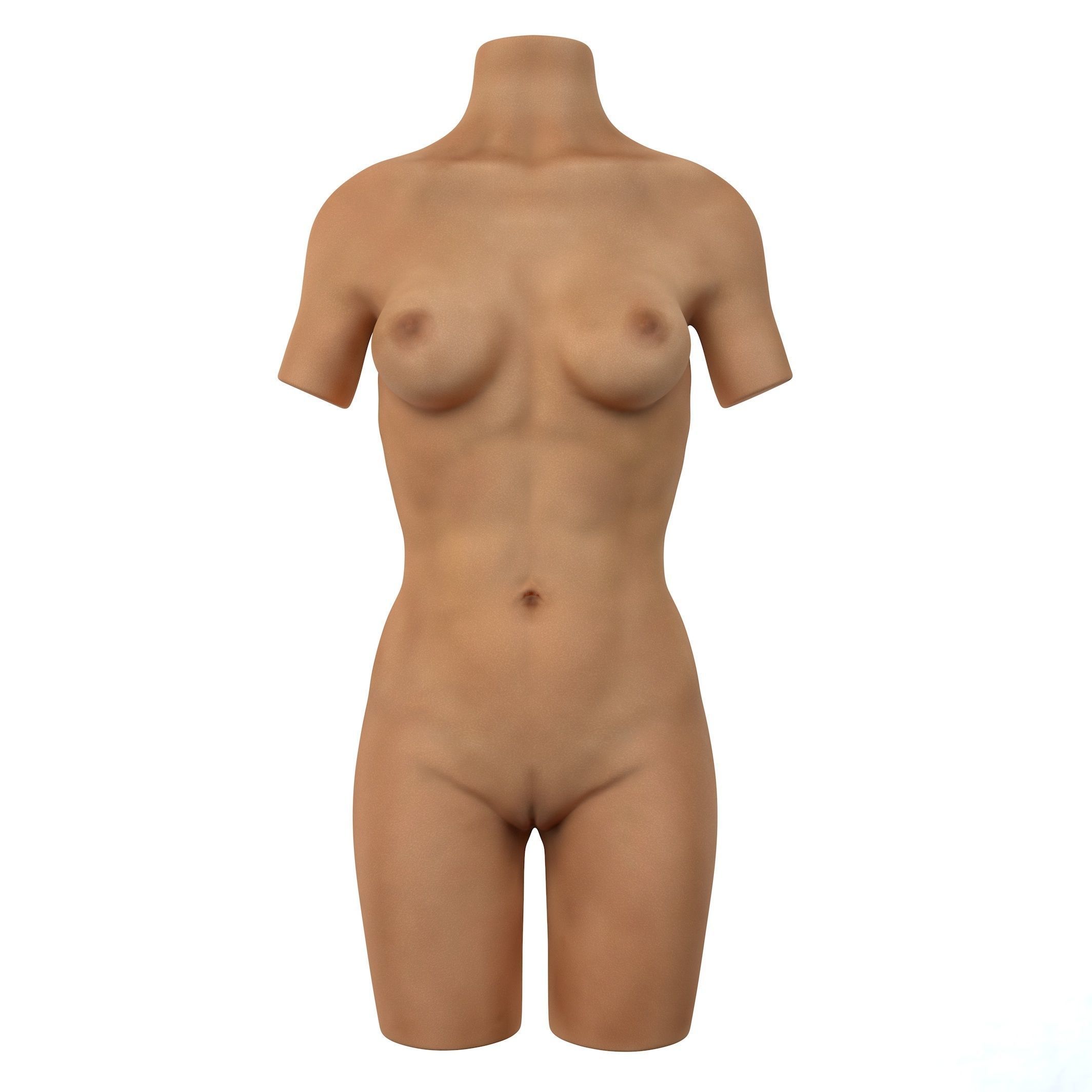 Torso Female  3D model_6