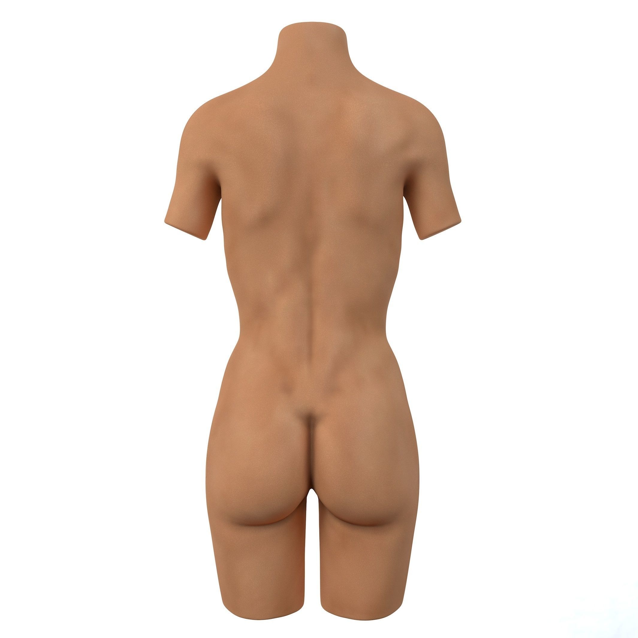 Torso Female  3D model_10