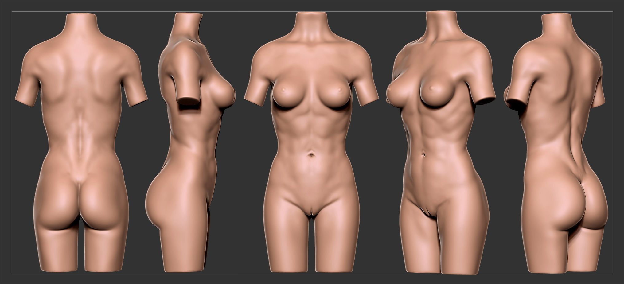 Torso Female  3D model_11