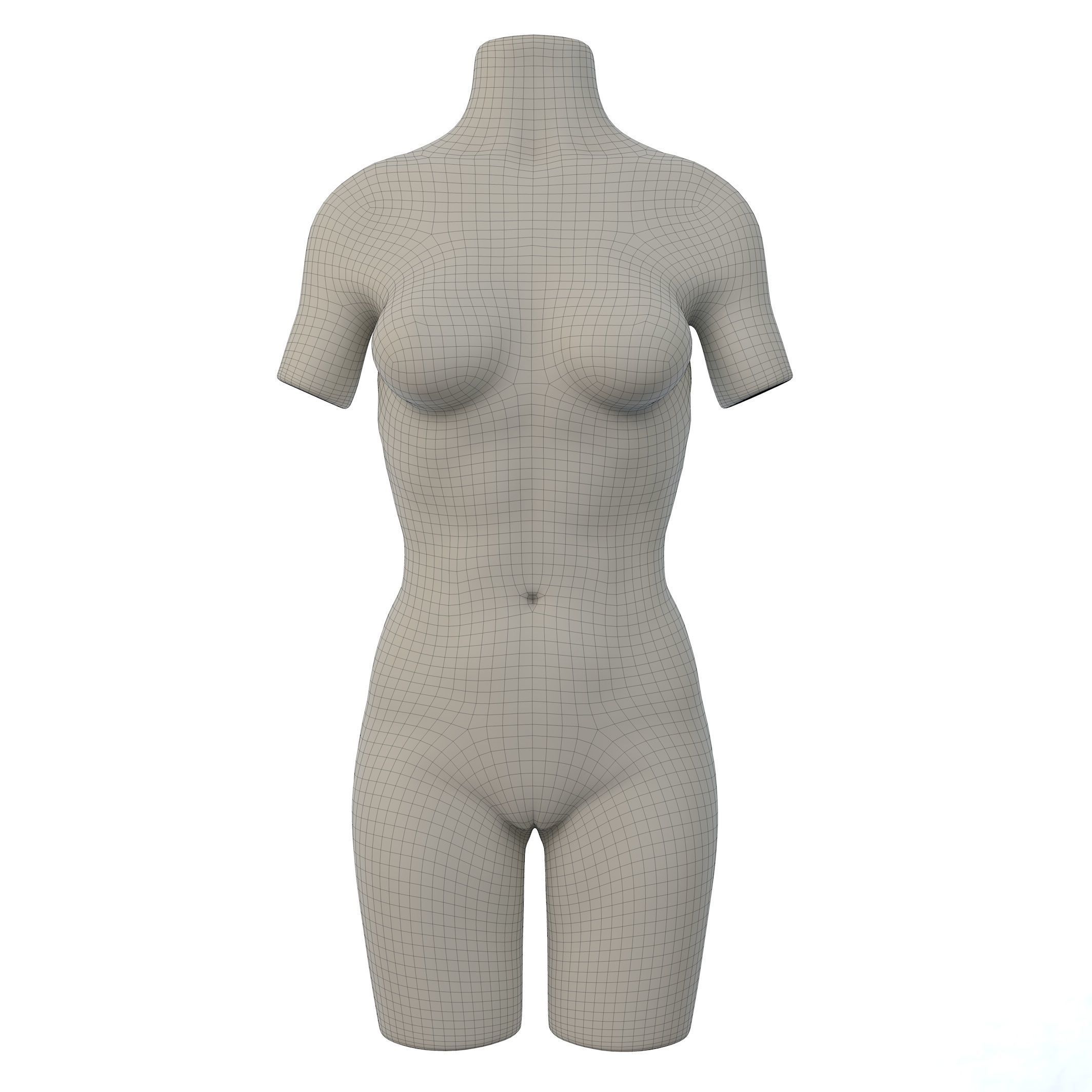 Torso Female  3D model_13