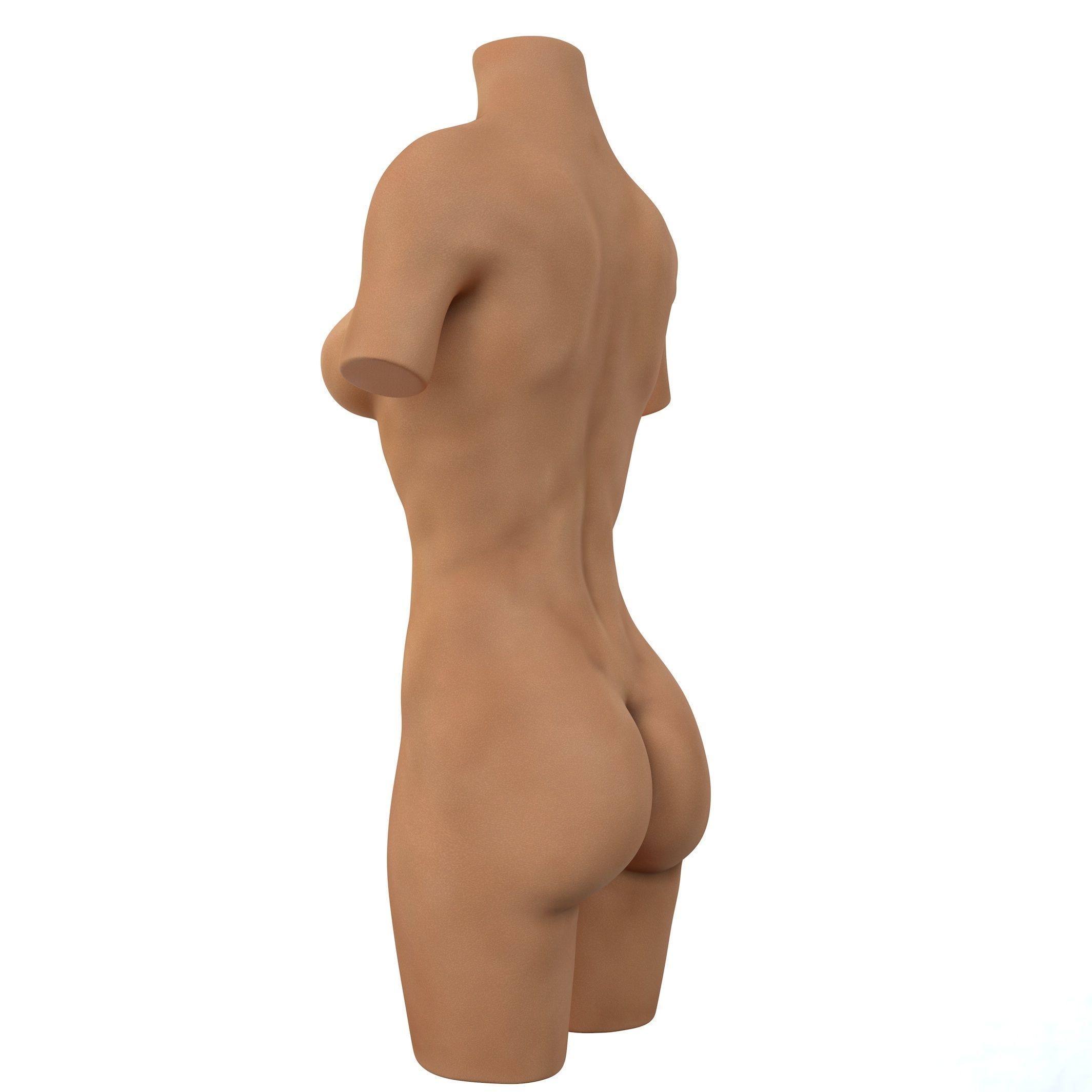 Torso Female  3D model_12