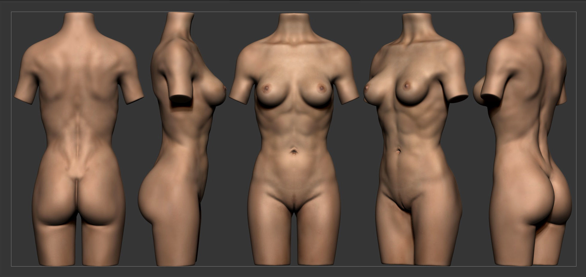Torso Female  3D model_5