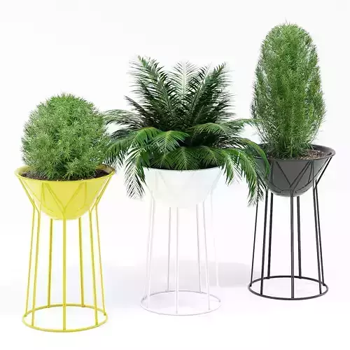 Circus three planters