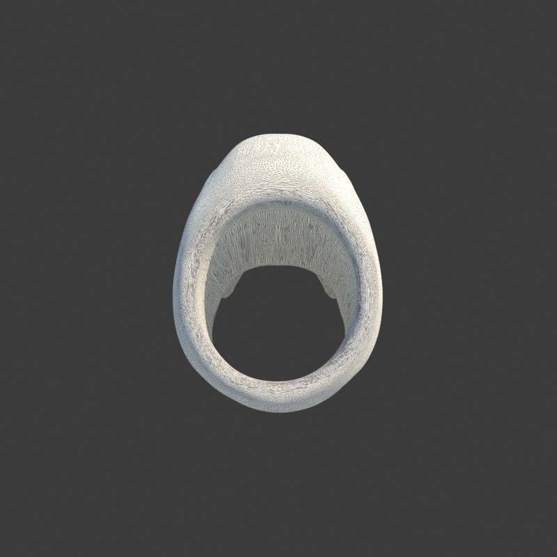 Human Homo Sapien Skull Ring for 3D printing 3D print model_10