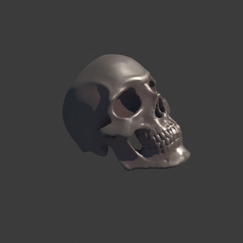 Human Homo Sapien Skull Ring for 3D printing 3D print model_6