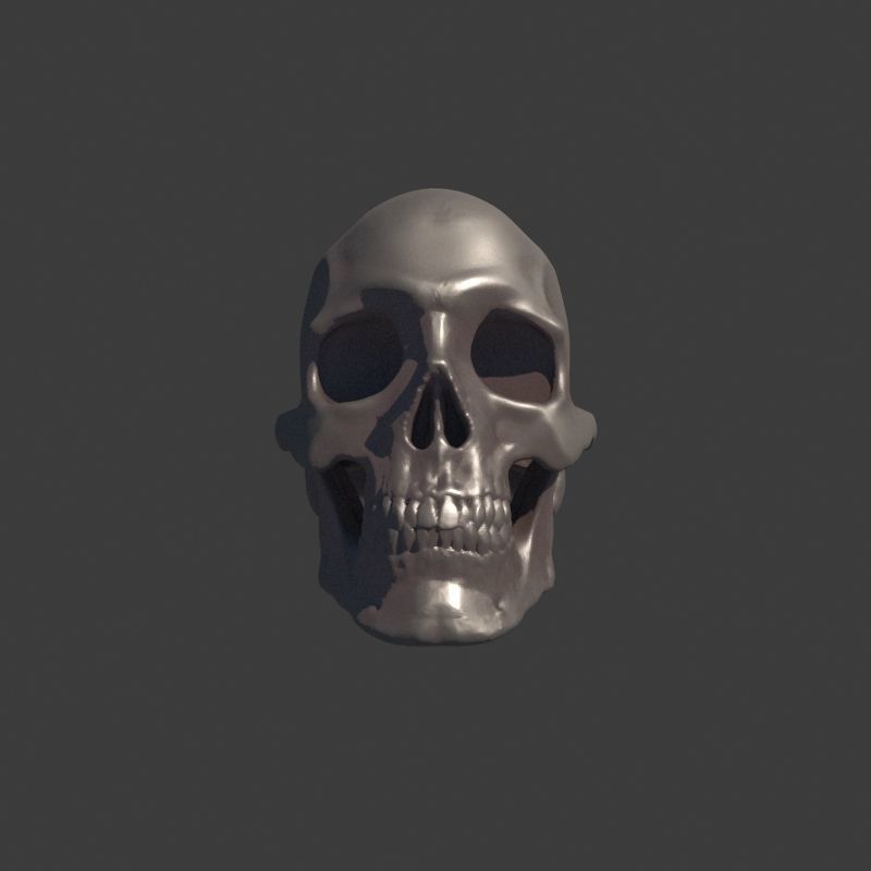 Human Homo Sapien Skull Ring for 3D printing 3D print model_3