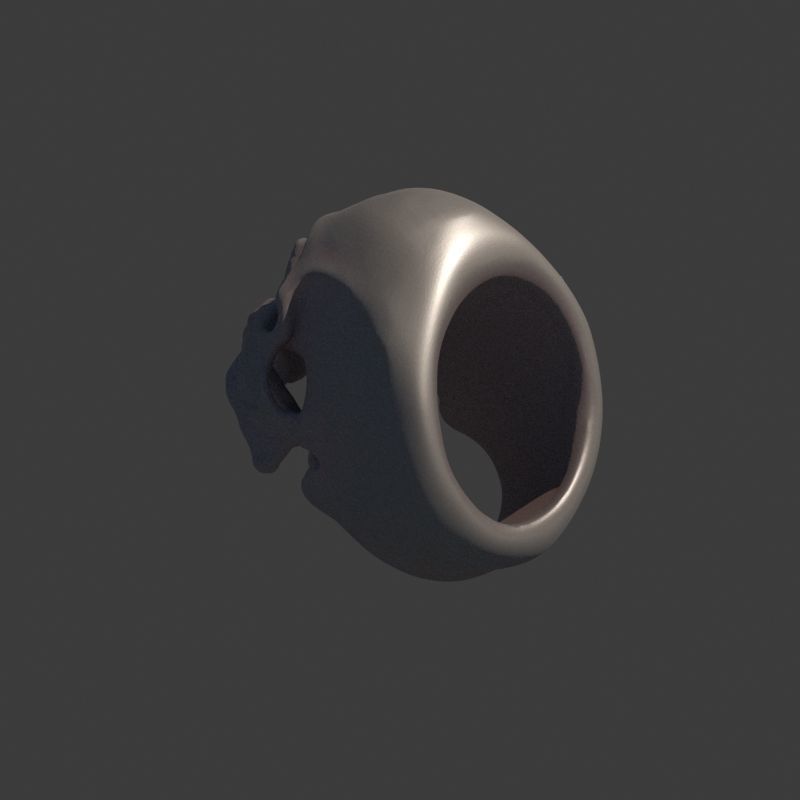 Human Homo Sapien Skull Ring for 3D printing 3D print model_2