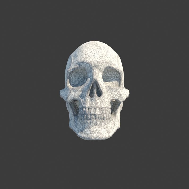 Human Homo Sapien Skull Ring for 3D printing 3D print model_7