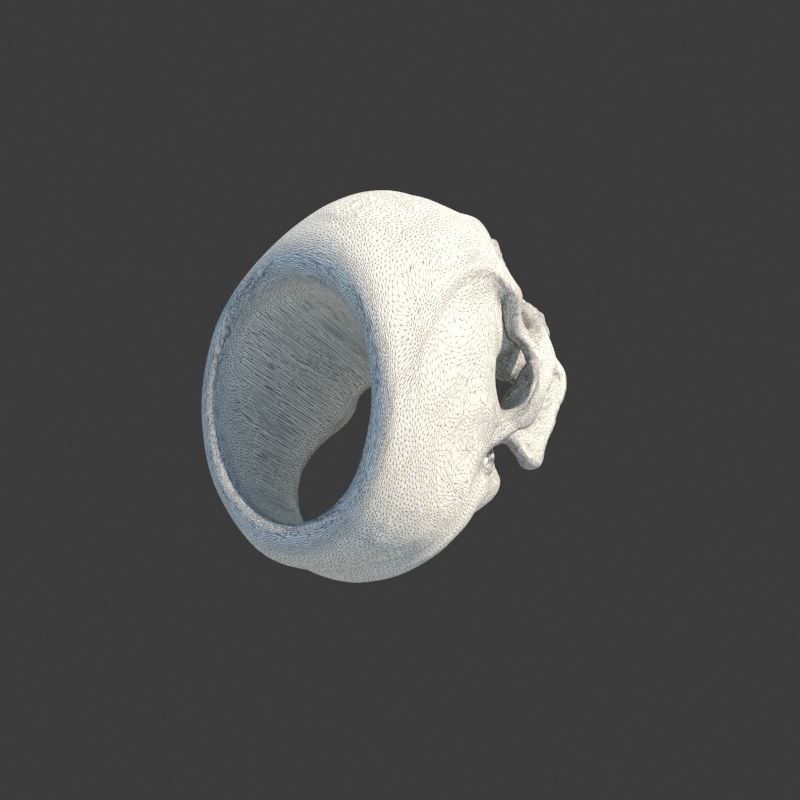Human Homo Sapien Skull Ring for 3D printing 3D print model_11