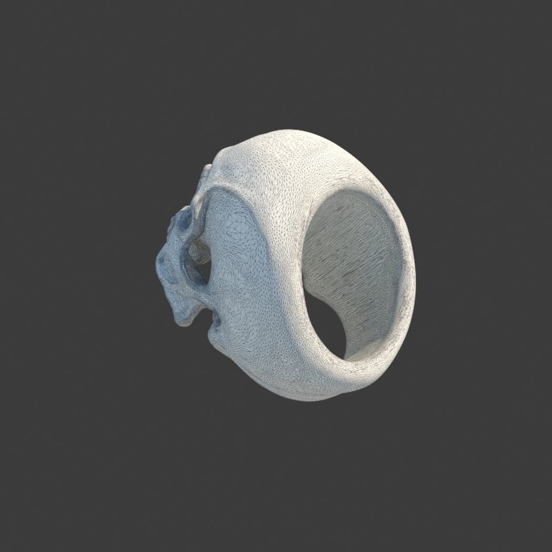 Human Homo Sapien Skull Ring for 3D printing 3D print model_9