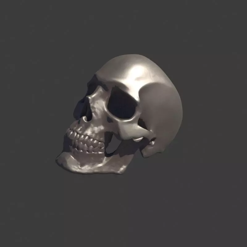 Human Homo Sapien Skull Ring for 3D printing 3D print model_0