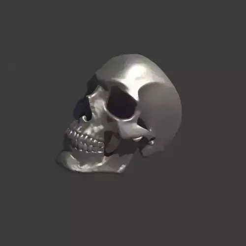 Human Homo Sapien Skull Ring for 3D printing 3D print model
