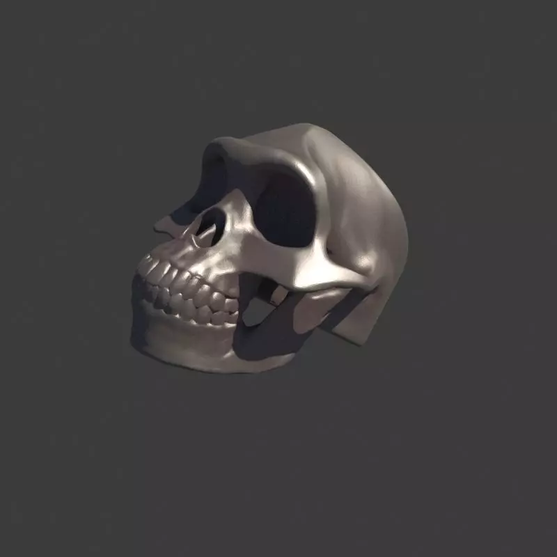 Australopithecus Lucy Skull Ring for 3D printing 3D print model_0