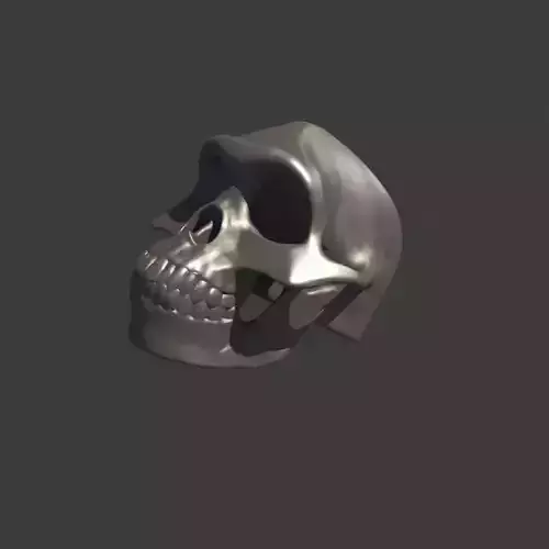 Australopithecus Lucy Skull Ring for 3D printing 3D print model
