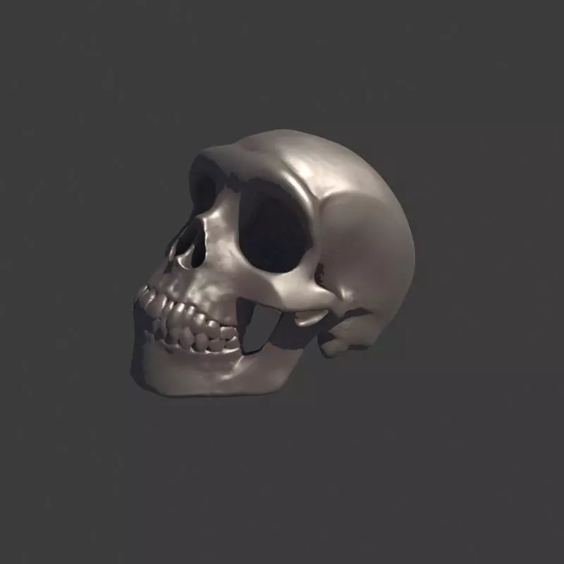 Neanderthal Skull Ring for 3D printing 3D print model