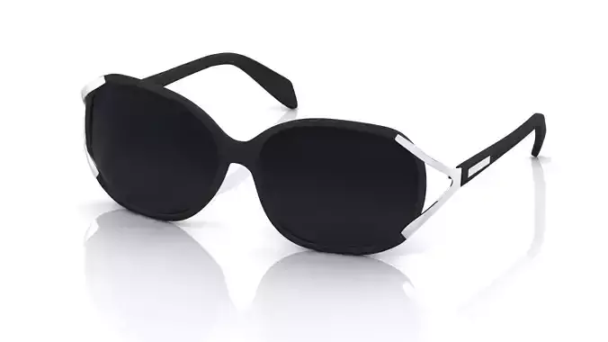 Eyeglasses for Men and Women 3D print model
