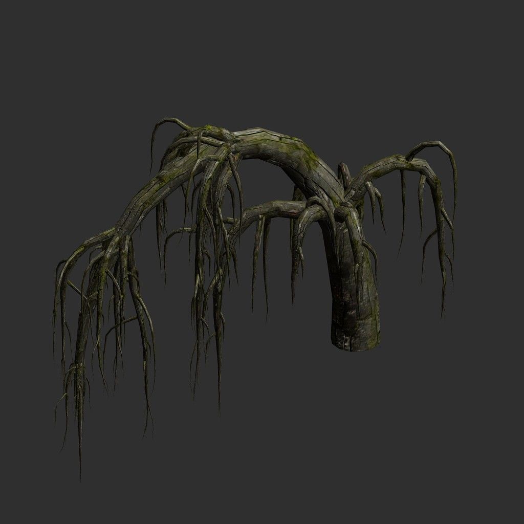 Roots dead tree 3D model_15