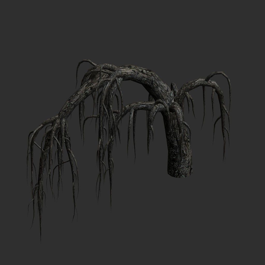 Roots dead tree 3D model_14