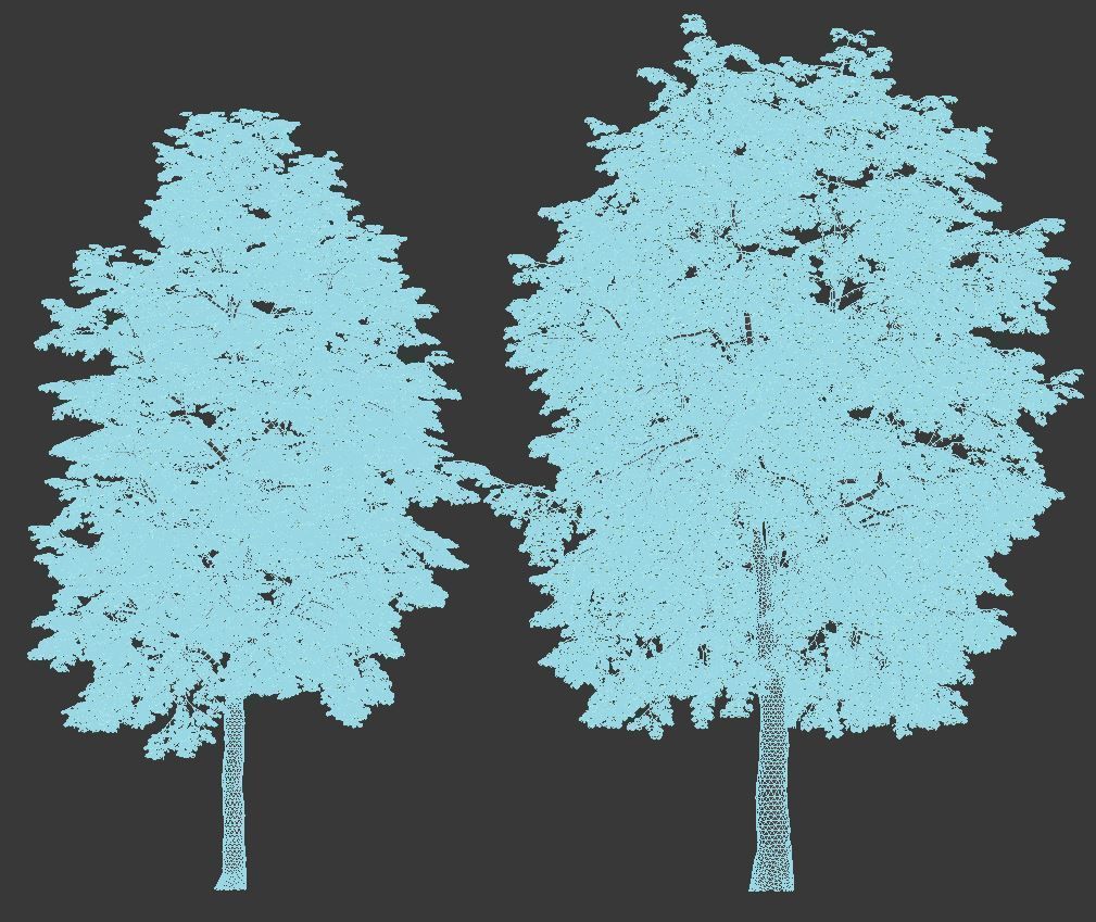 Tilia europaea Nr 4 H12-14m Two tree set 3D model_3