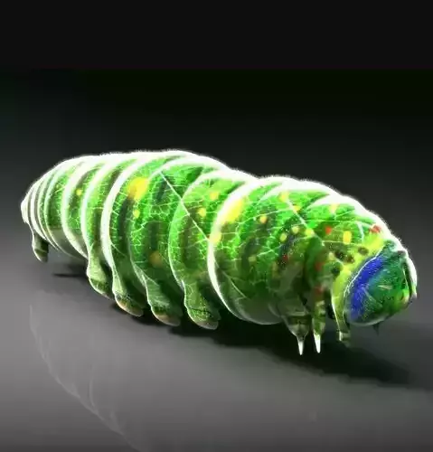 Green larvae 3d model 3D model