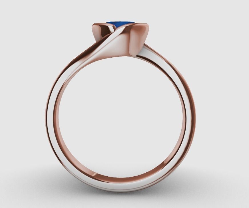 Bypass Ring 3D print model_2