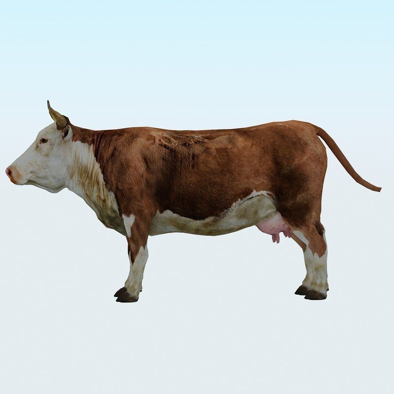 Low Poly Cow 3D model FBX OBJ STL 3ds Blend Max Low-poly 3D model_1