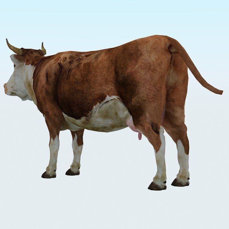 Low Poly Cow 3D model FBX OBJ STL 3ds Blend Max Low-poly 3D model_2