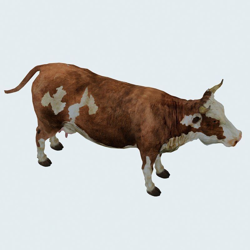 Low Poly Cow 3D model FBX OBJ STL 3ds Blend Max Low-poly 3D model_7