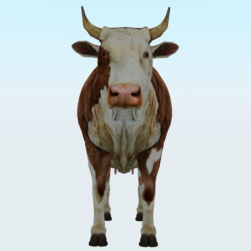 Low Poly Cow 3D model FBX OBJ STL 3ds Blend Max Low-poly 3D model_11