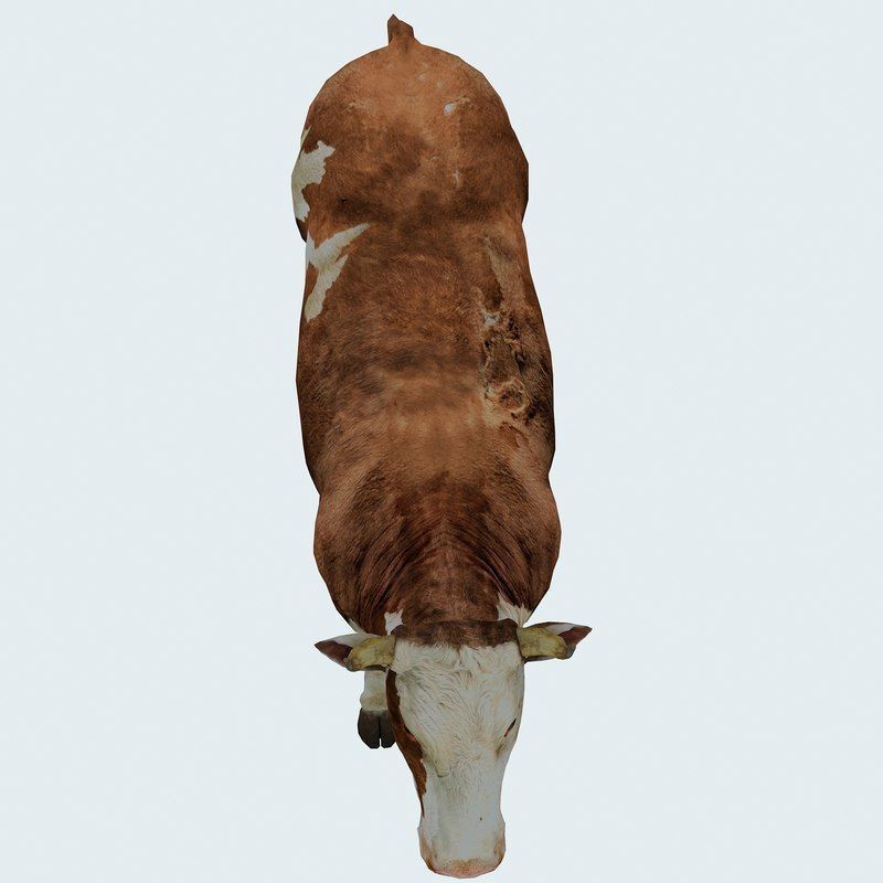 Low Poly Cow 3D model FBX OBJ STL 3ds Blend Max Low-poly 3D model_12